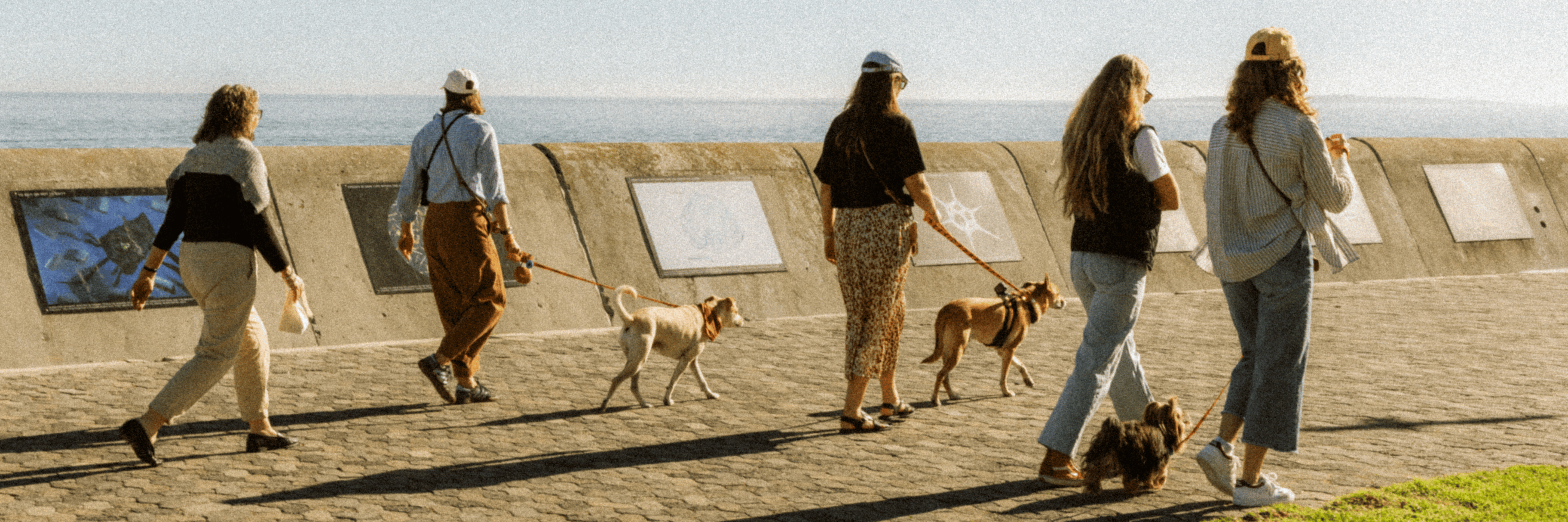 Affirmations From Your Dog