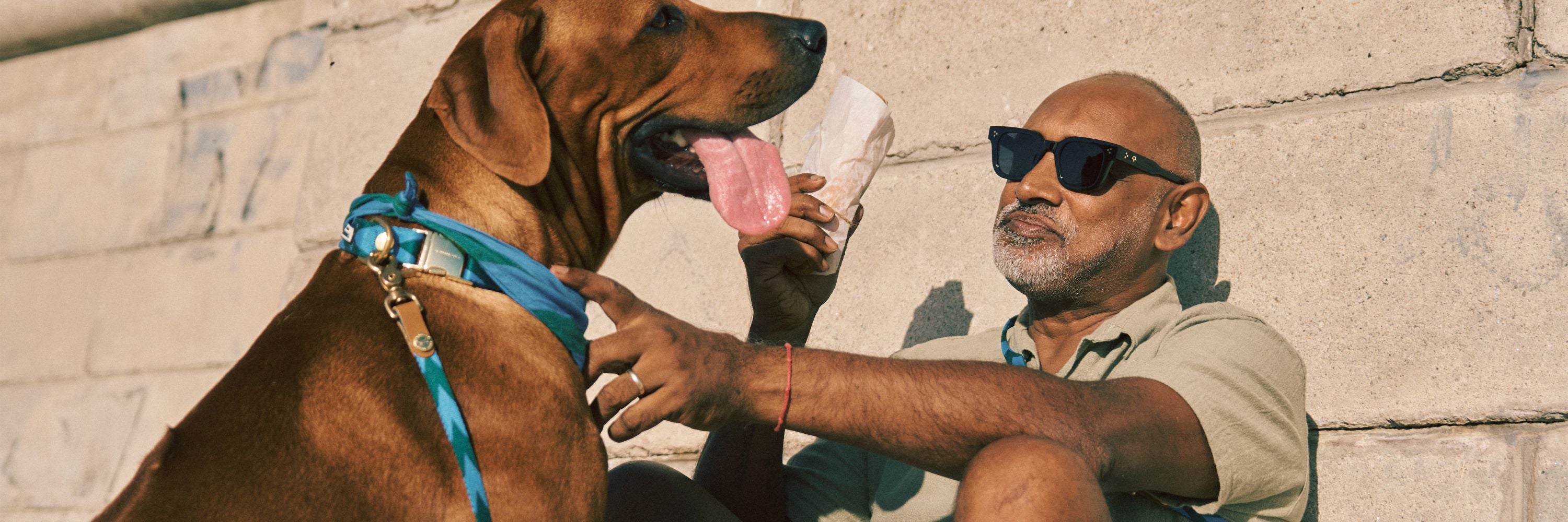 Treat People More Like Dogs