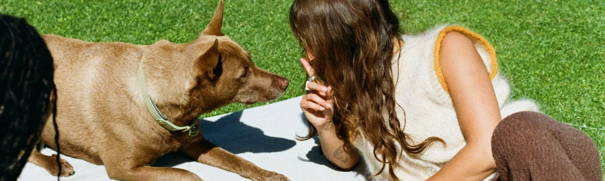 Be More Dog: What Your Dog Can Teach You About Self-Compassion