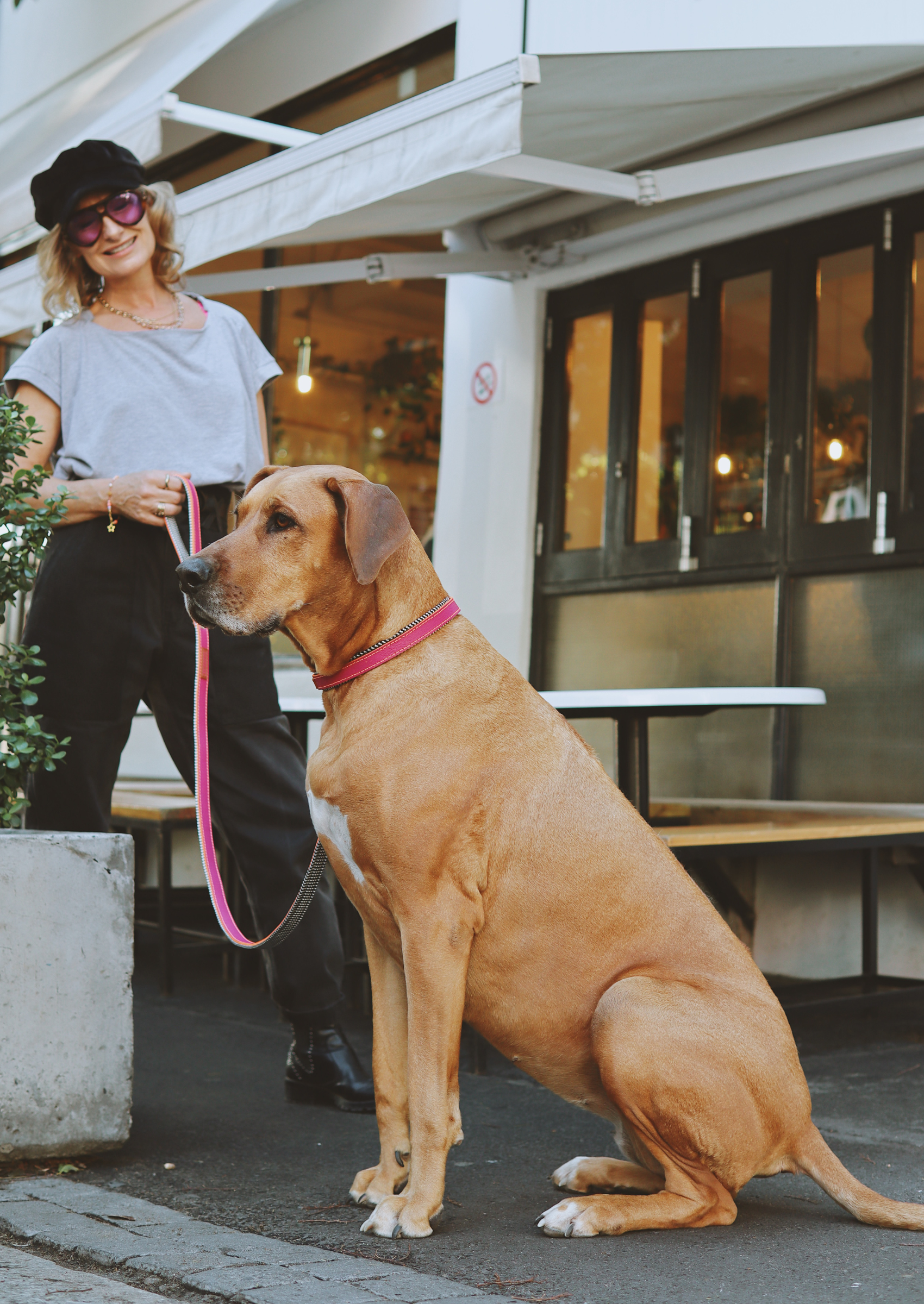 Everyday Leather Dog Leash | Pink Lizzo