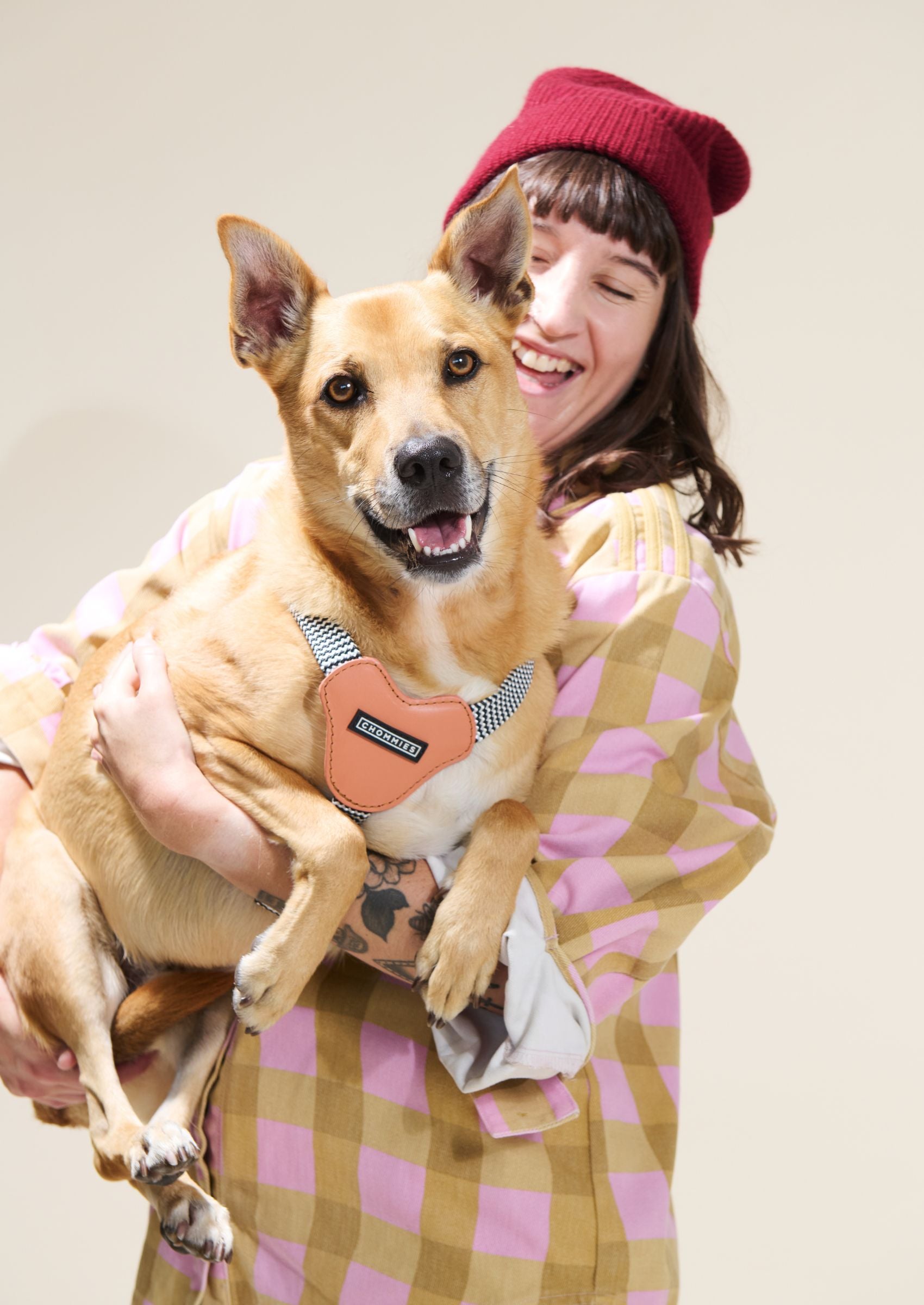 Leather Dog Harness | Apricot