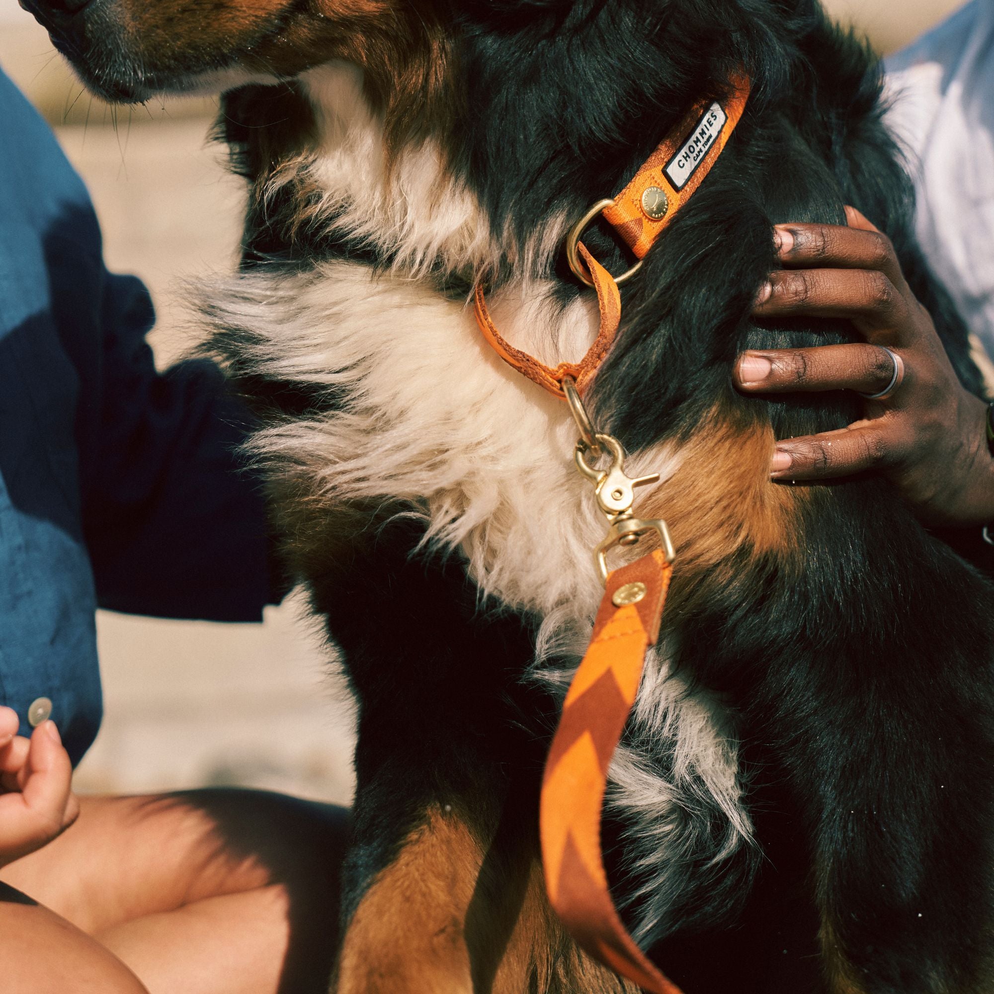 Adjustable Martingale Collar | Orange & Cognac