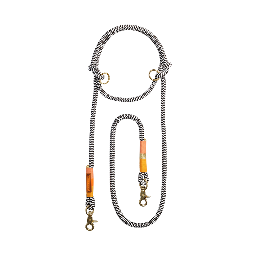Hands-Free Dog Leash | Rope