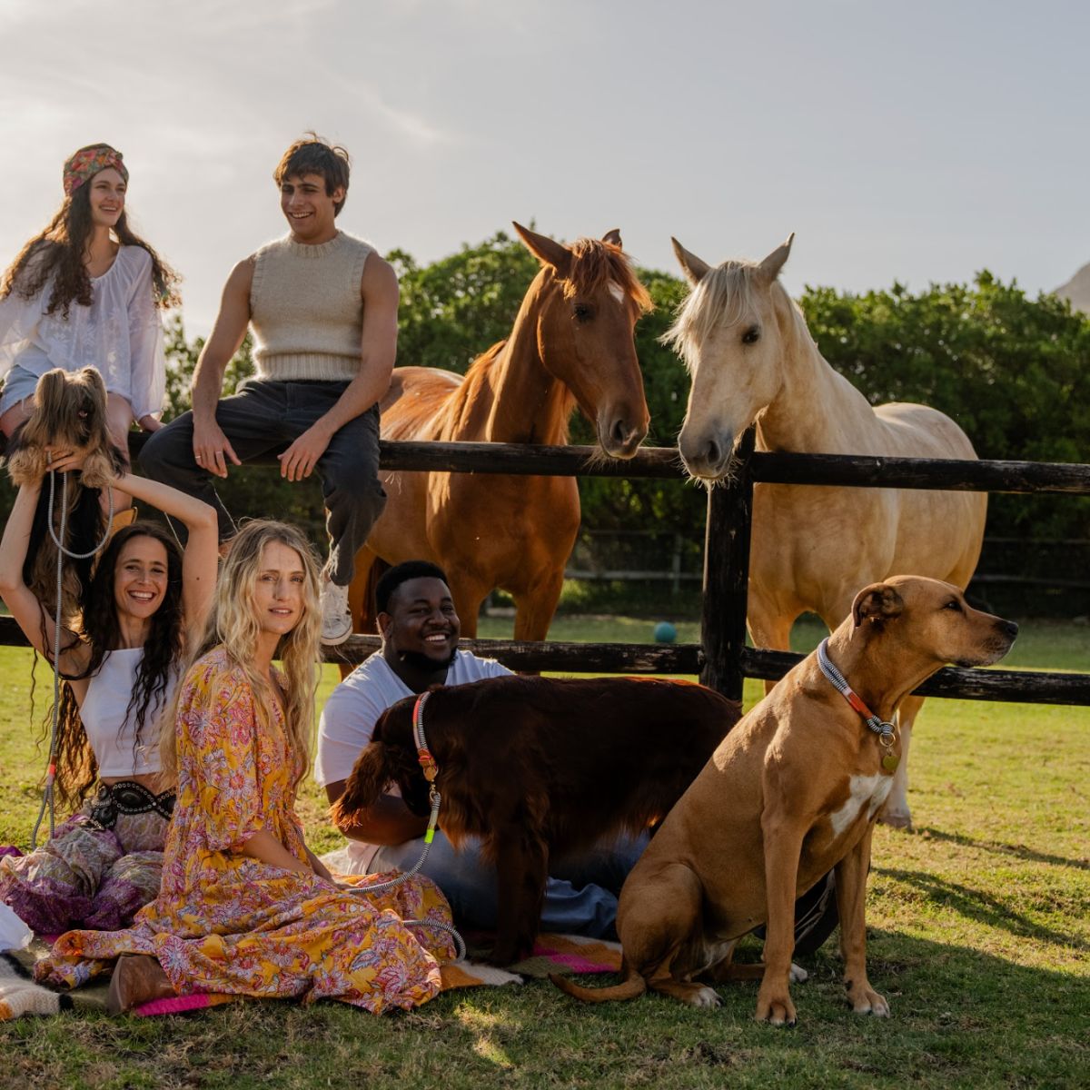 Chommies African Haze Collection Rope Dog Accessories