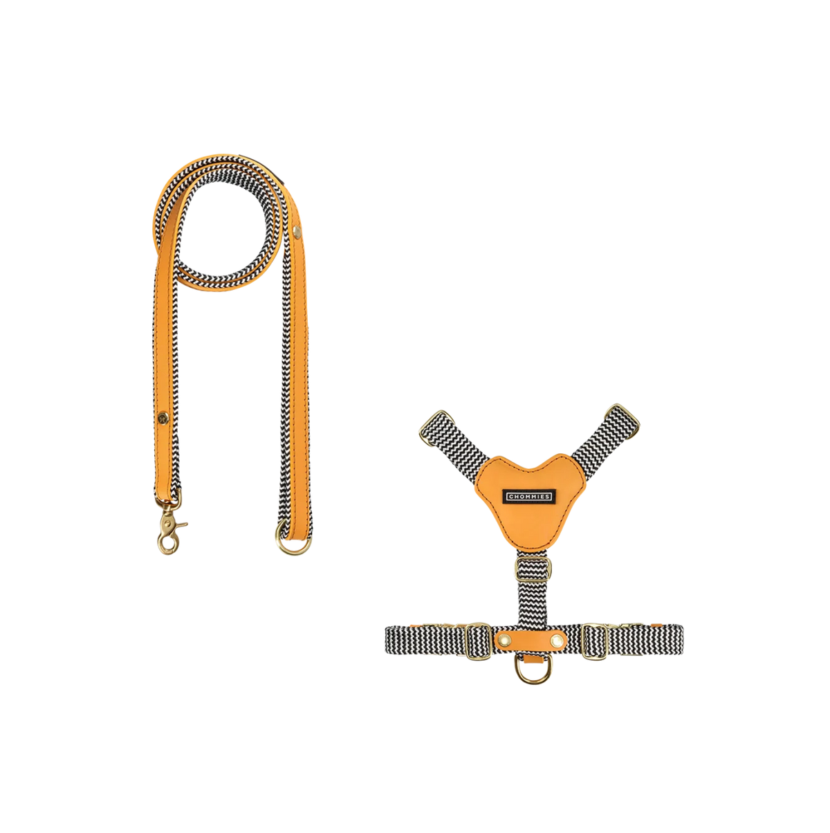 Dog Harness & Leash Bundle | Kumquat