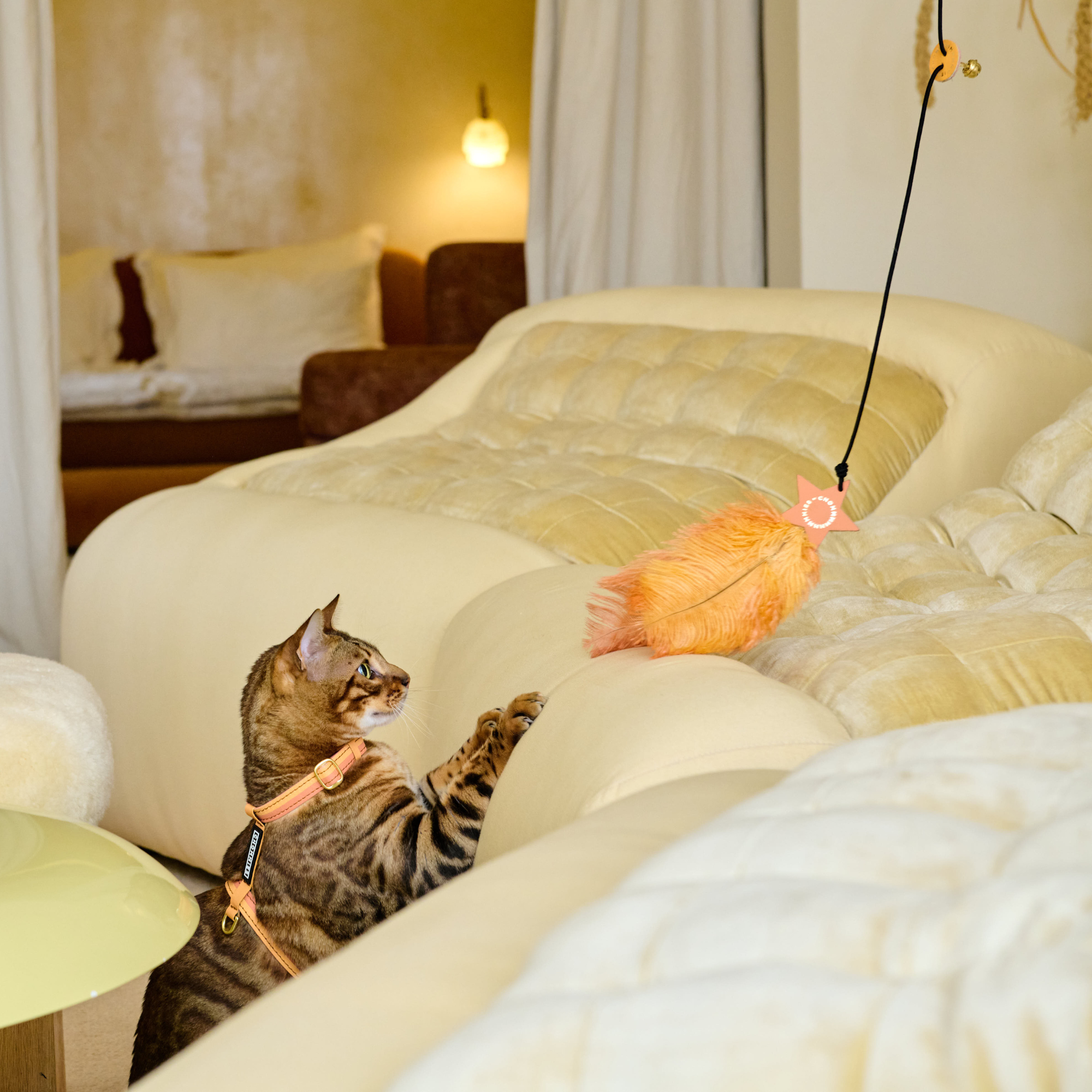 The Tease Cat Toy
