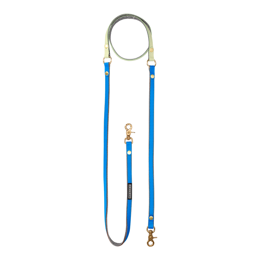 Hands-Free Dog Leash | Leather