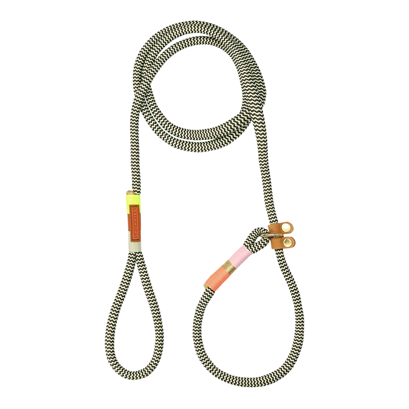 Slip-On Dog Leash