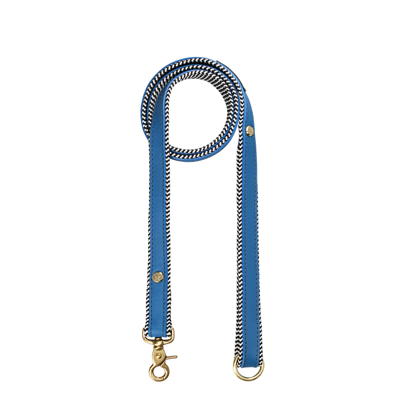 Everyday Leather Dog Leash | Bloublommetjie