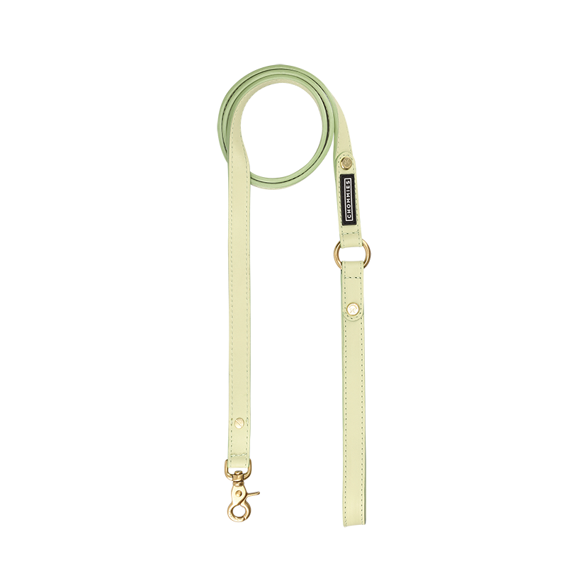 Everyday Dog Leash | Leather