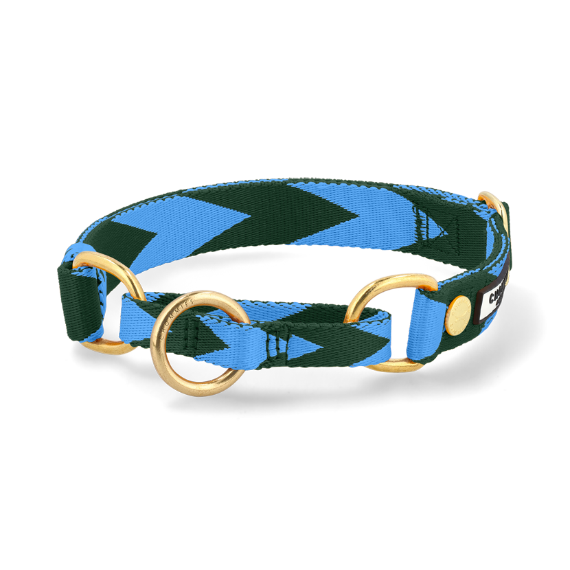 Adjustable Martingale Collar | Blue & Green