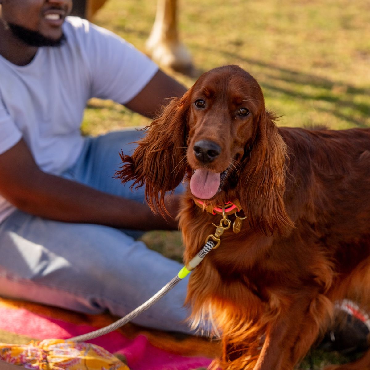 Chommies African Haze Collection Rope Dog Collars