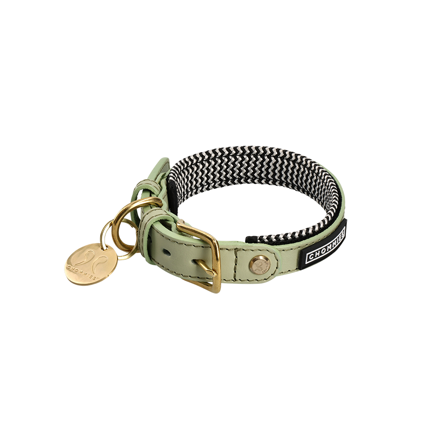 Adjustable Leather Dog Collar | Buchu