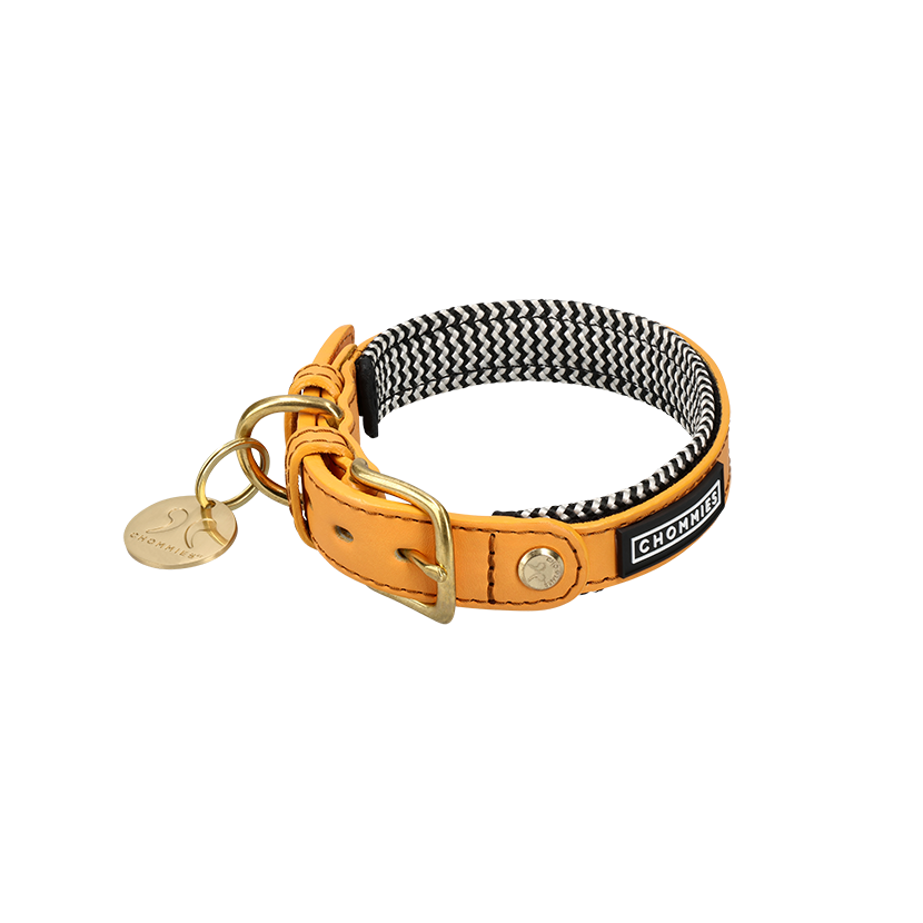 Adjustable Leather Dog Collar | Kumquat