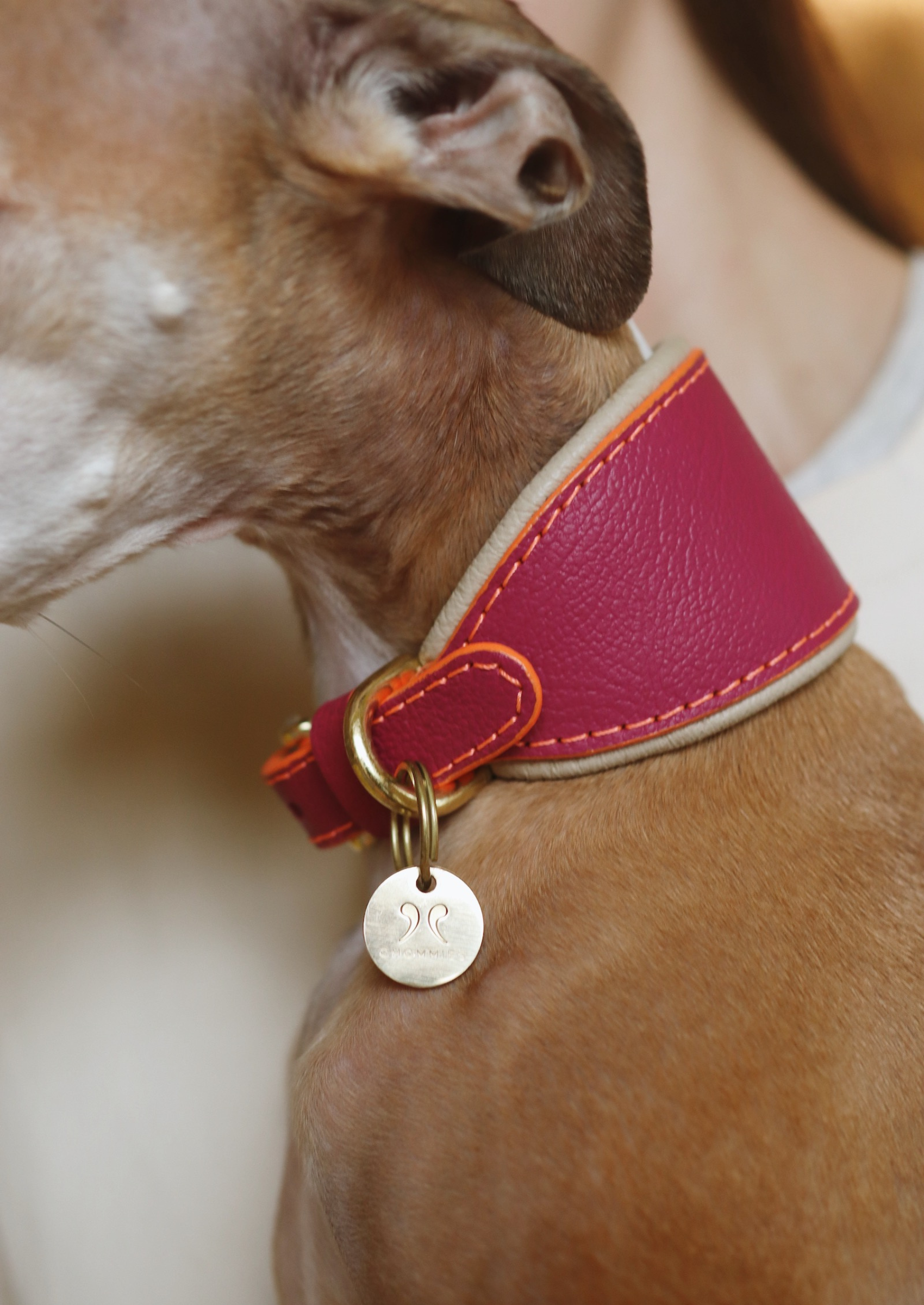 Adjustable Leather Sighthound Collar | Pink Lizzo
