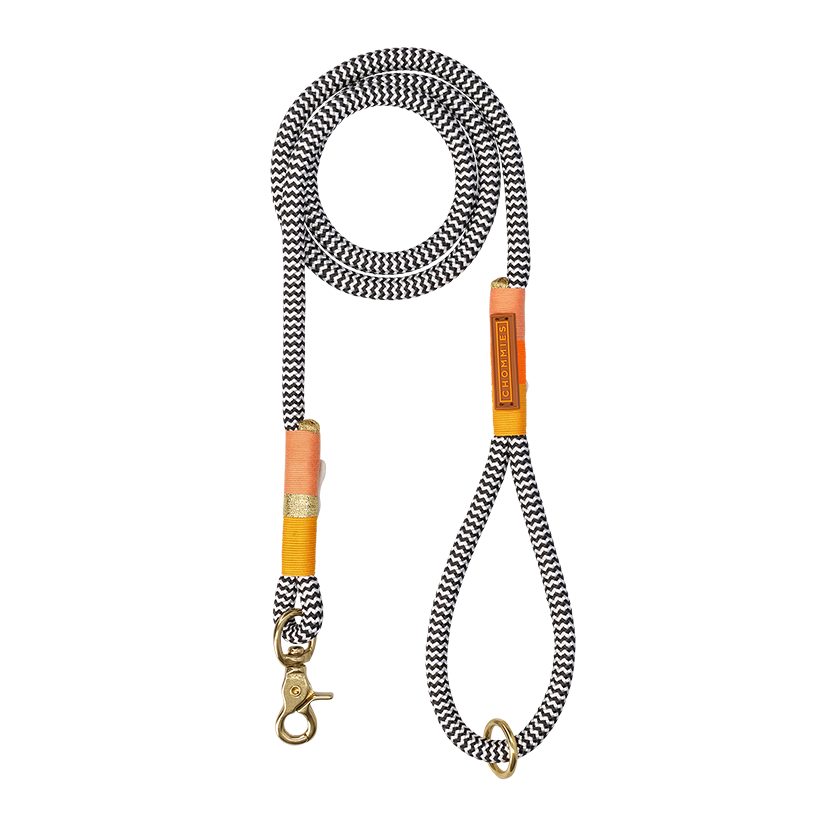 Everyday Dog Leash | Rope