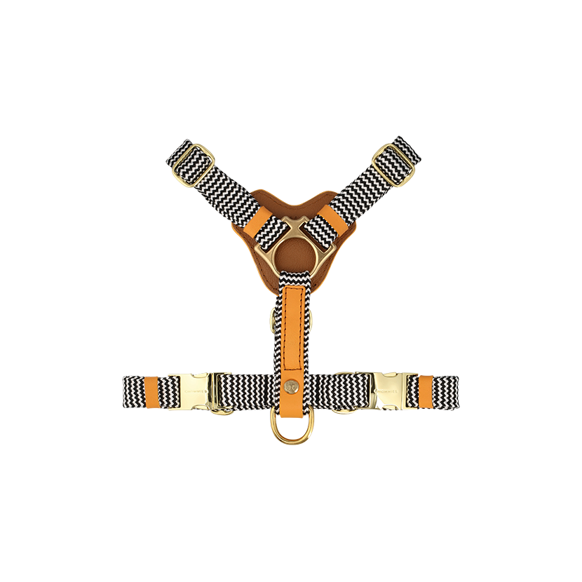 Leather harness with brass buckles