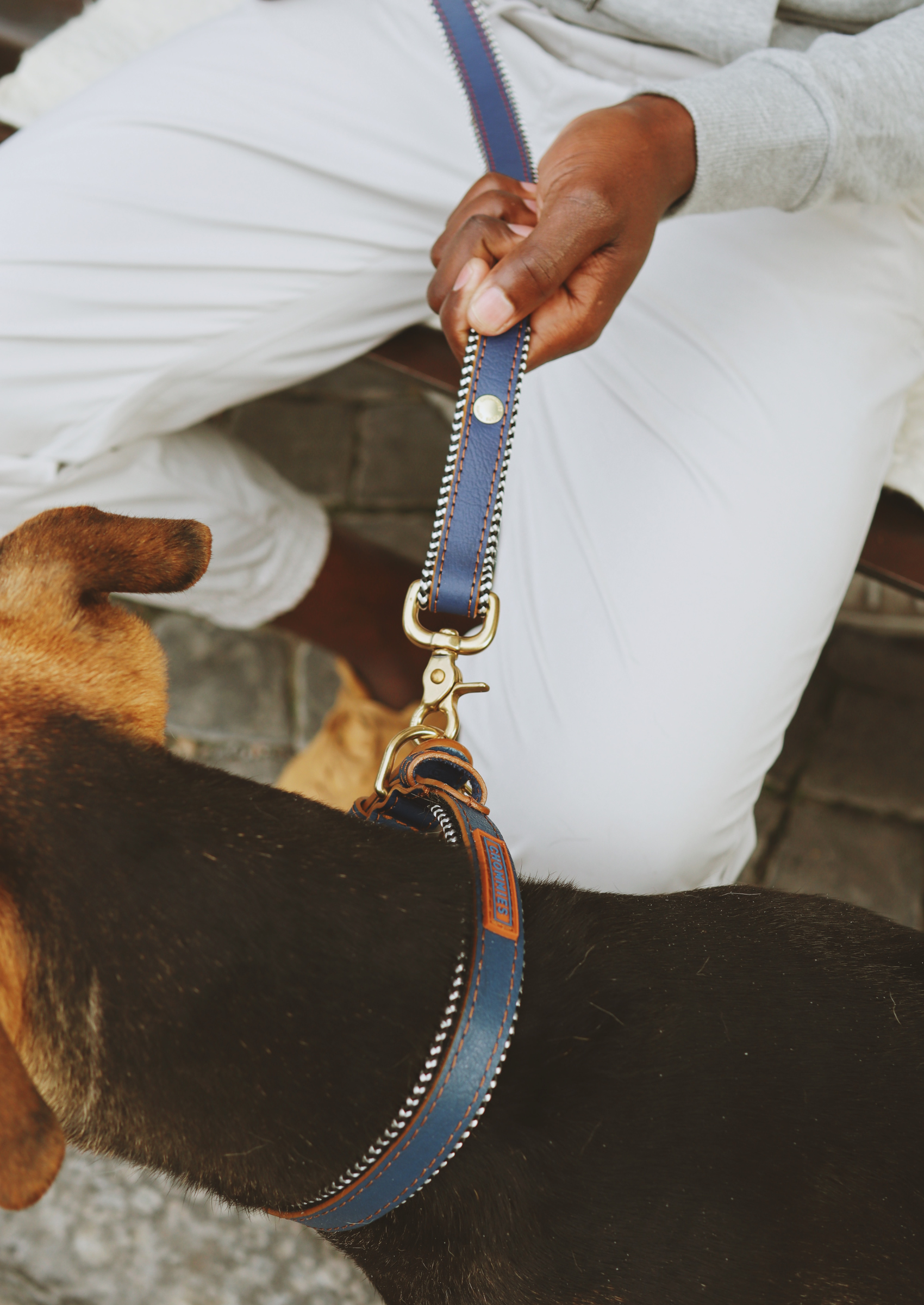 Adjustable Leather Dog Collar | Blue Snoop