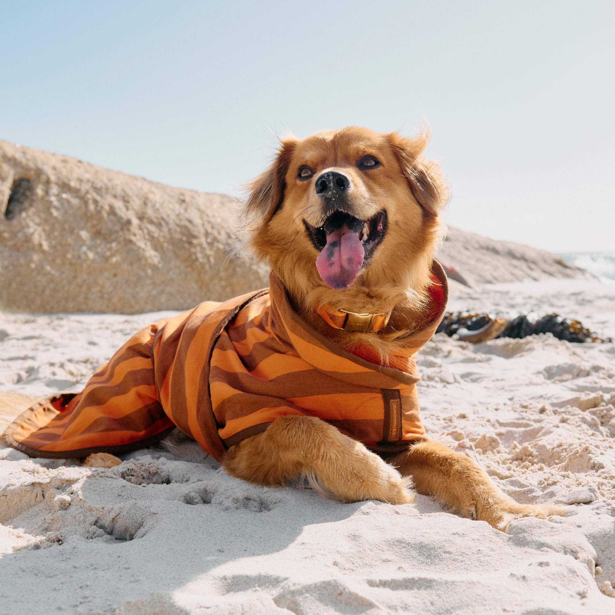 Dog Robe | Cognac & Orange Stripe