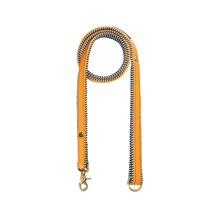 Everyday Leather Dog Leash | Kumquat