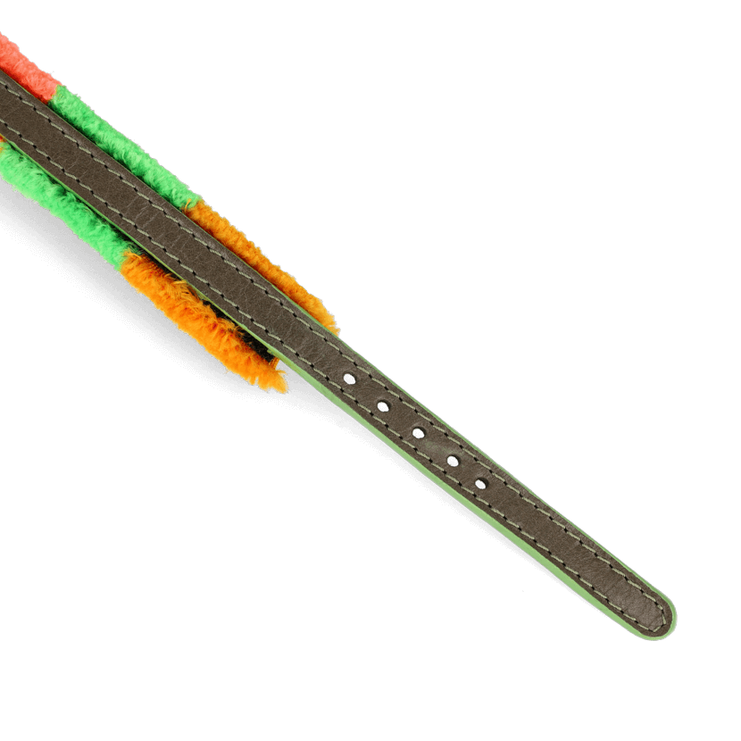 POMM POMM Adjustable Dog Collar | Spring