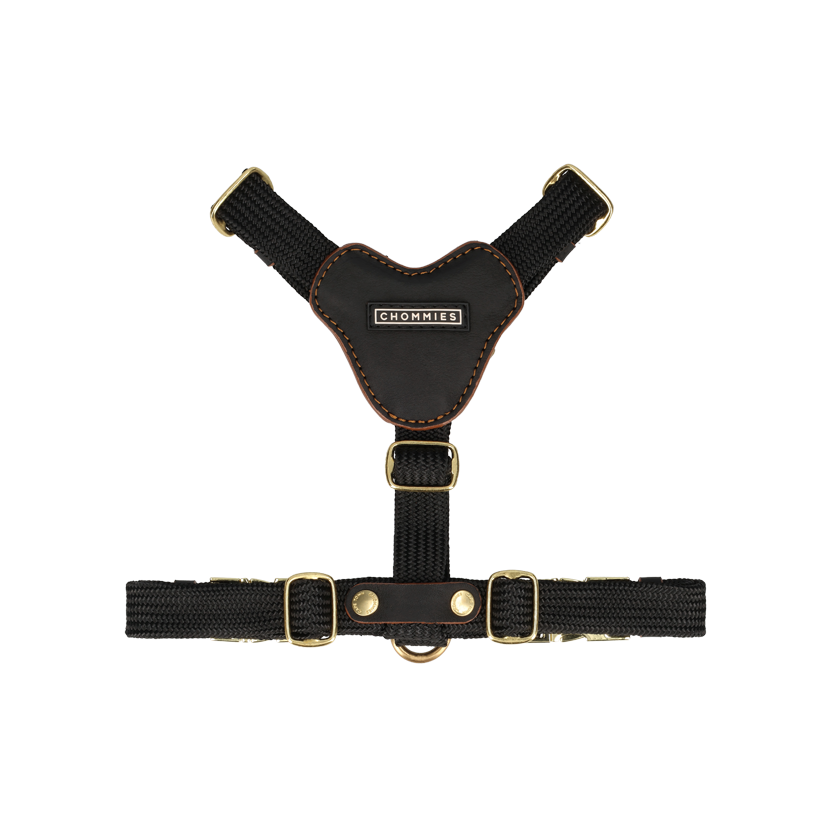 Leather Dog Harness | Hendrix