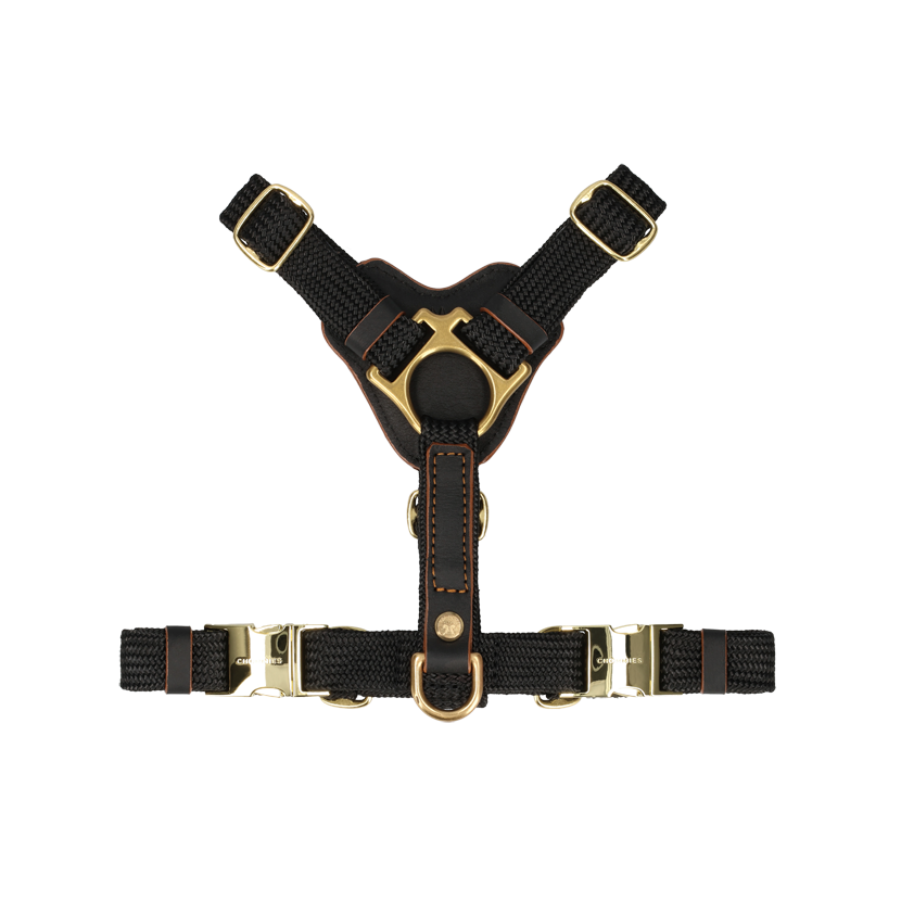 Leather Dog Harness | Hendrix