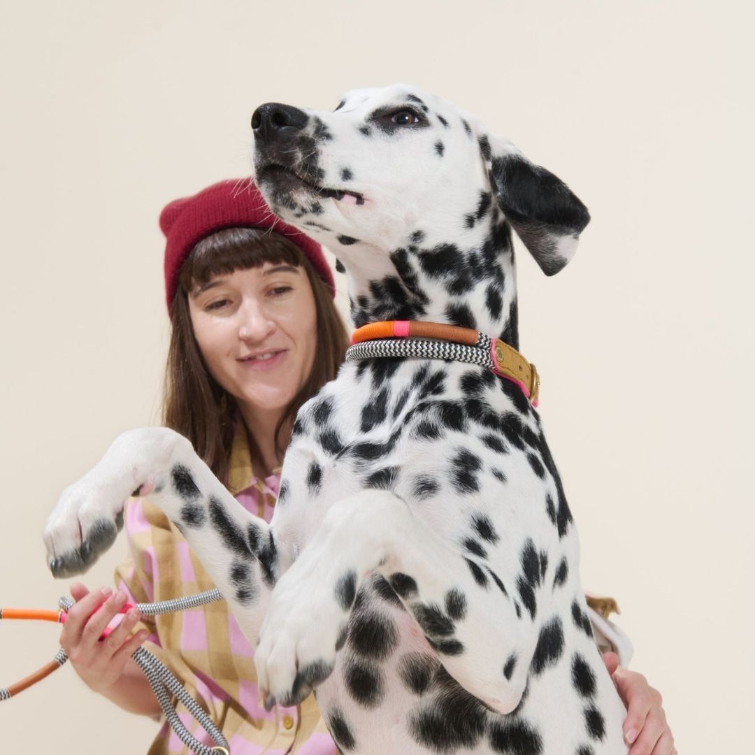 Adjustable Dog Collar | Shongololo on BW