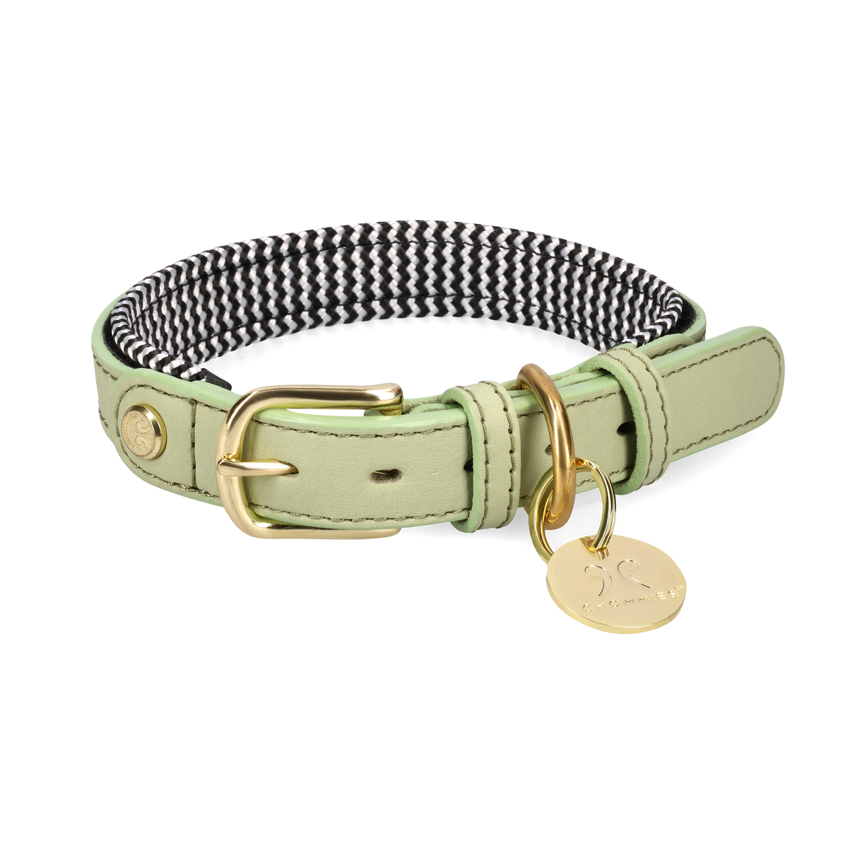 Adjustable Dog Collar | Leather