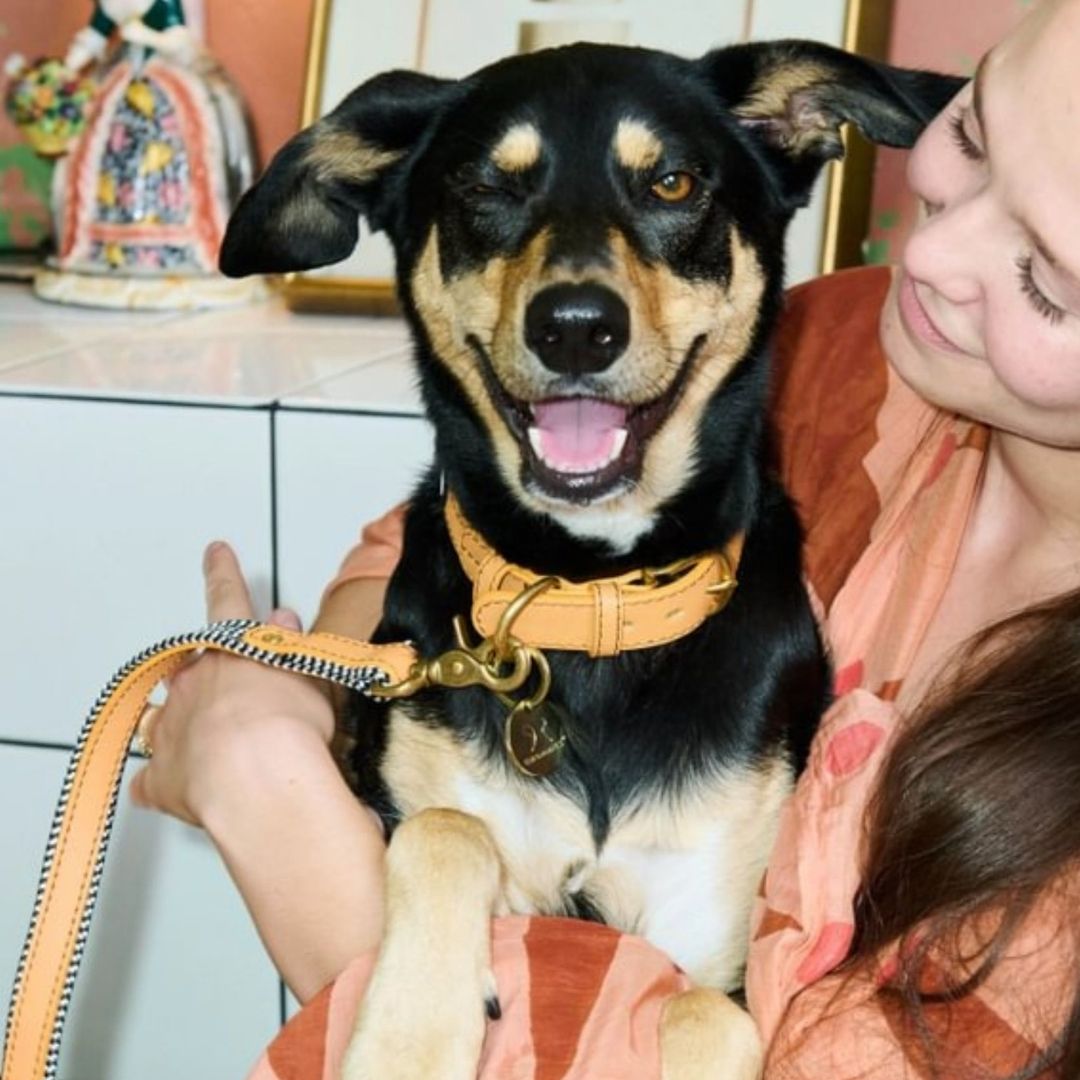 Woman holding a black and tan dog in a kitchen setting