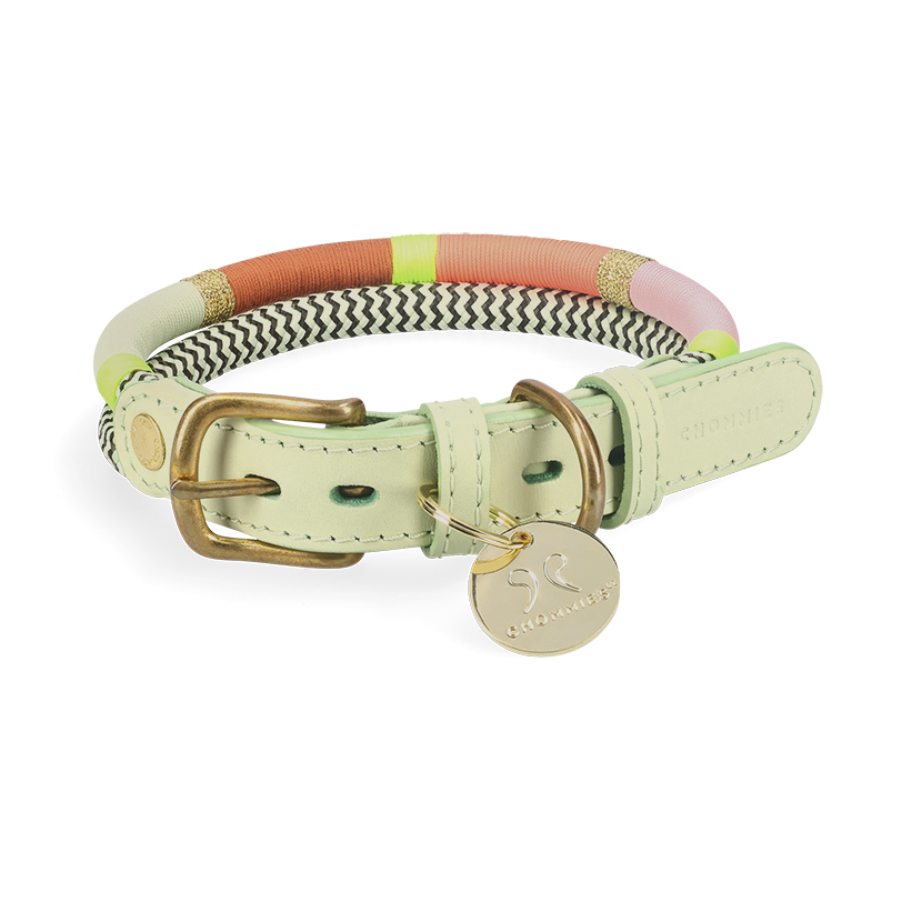 Adjustable Dog Collar | Heritage