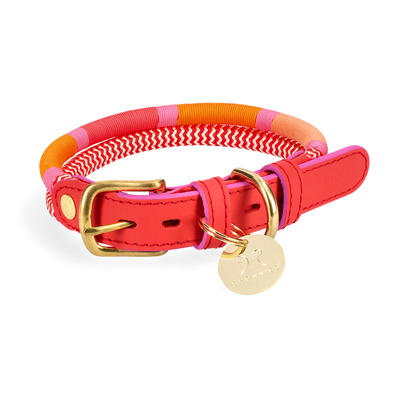 Adjustable Dog Collar | Heritage