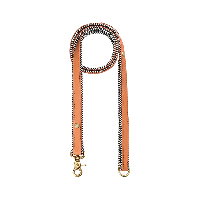 Dog Harness & Leash Bundle | Apricot
