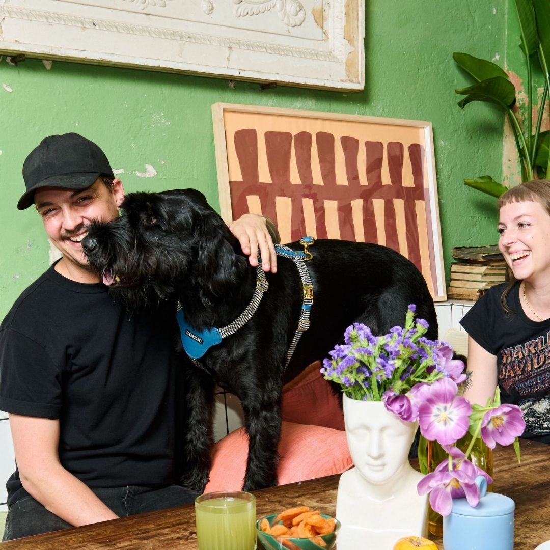 Leather Dog Harness | Bloublommetjie