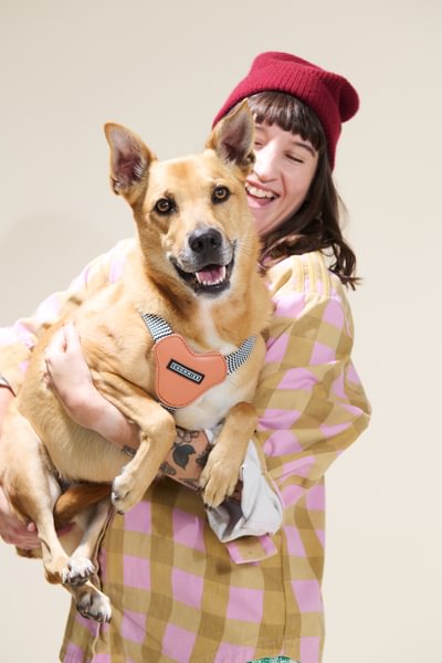 Dog Harness & Leash Bundle | Apricot