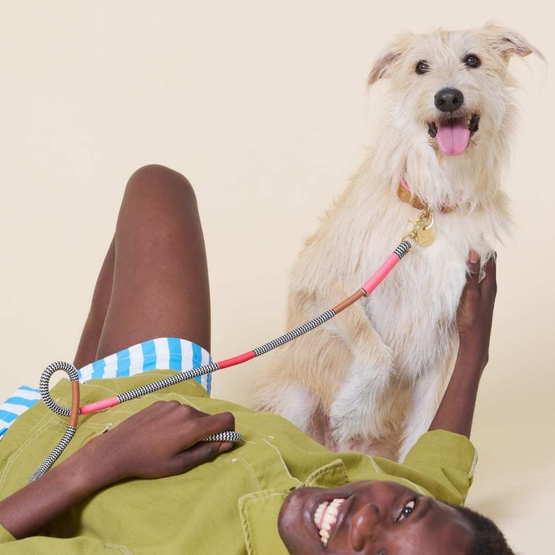 Everyday Dog Leash | Shongololo on BW