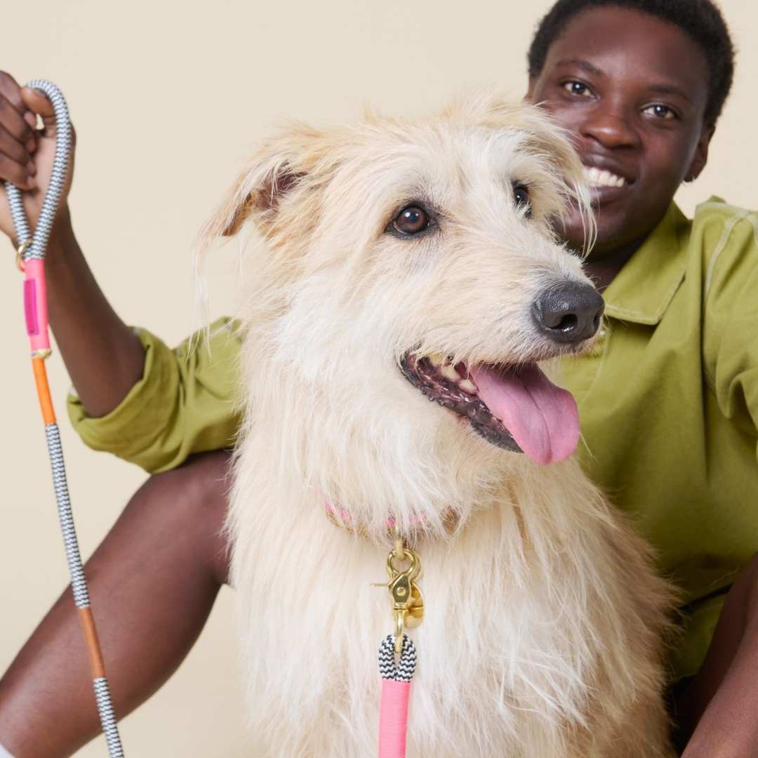 Everyday Dog Leash | Shongololo on BW