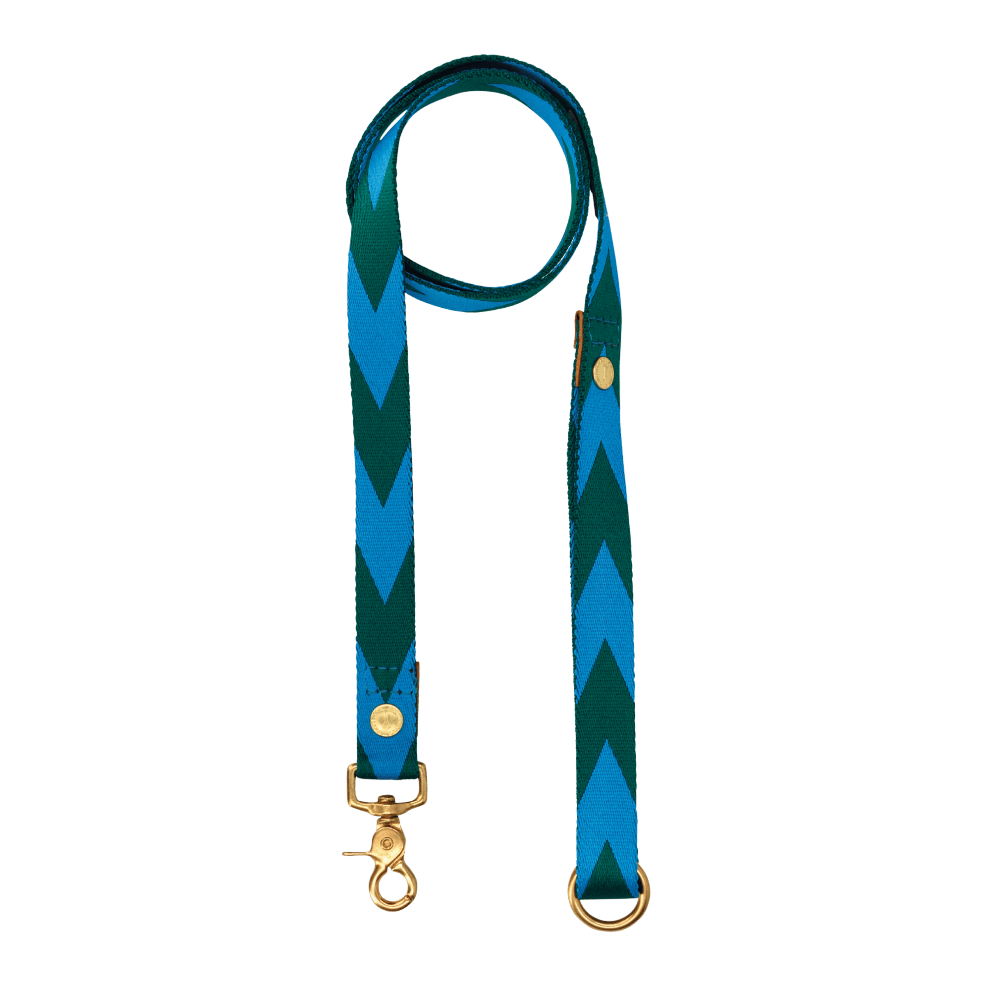 Everyday Leash | Blue & Green