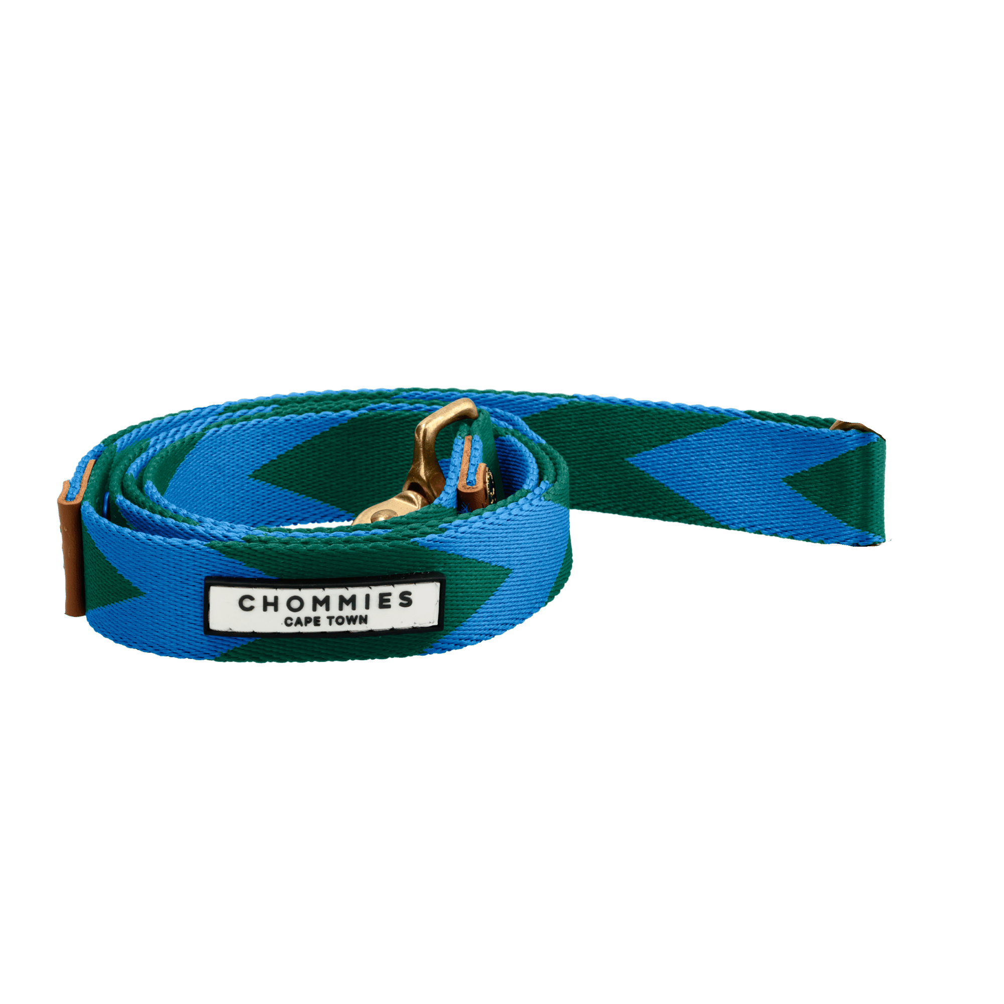 Everyday Leash | Blue & Green