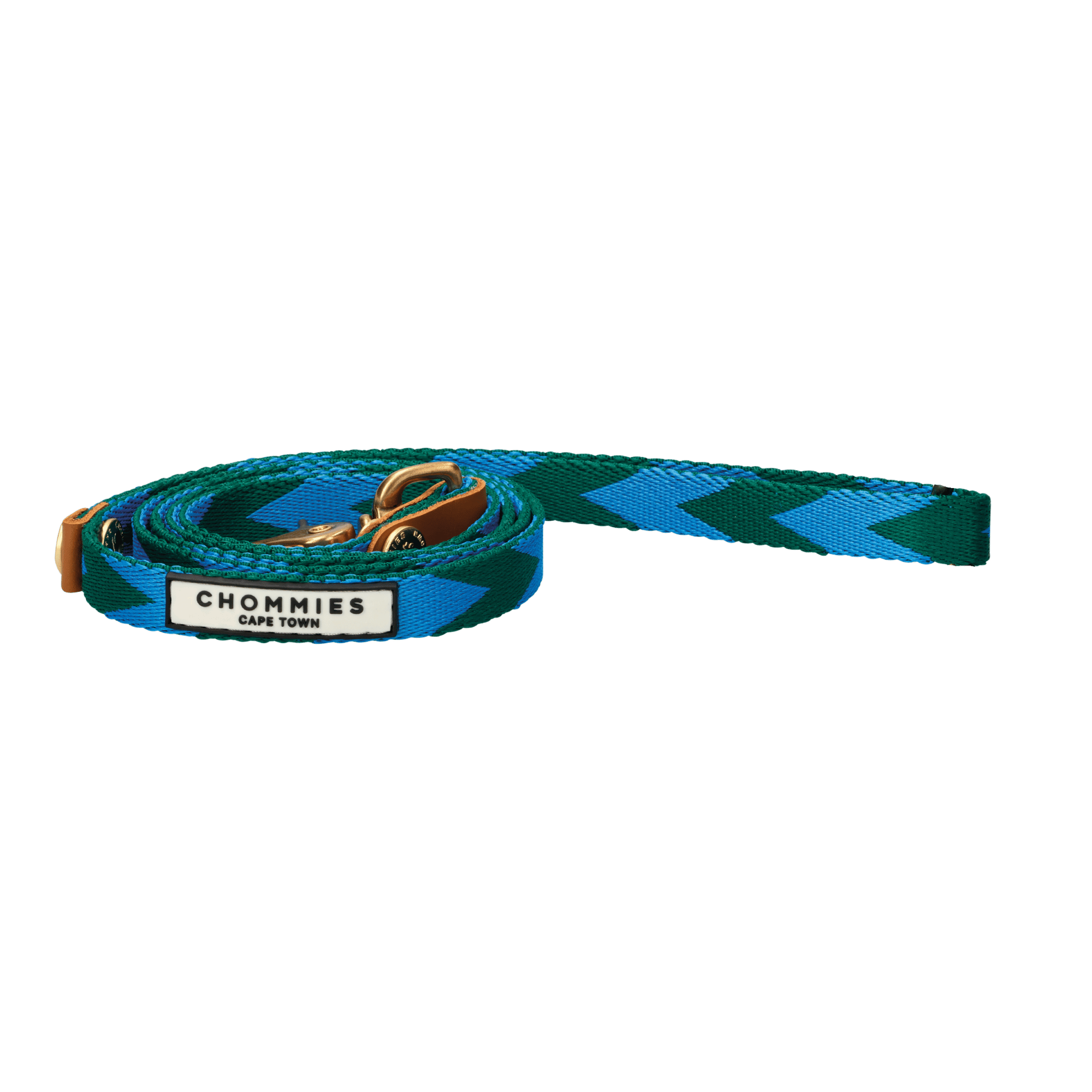 Everyday Leash | Blue & Green