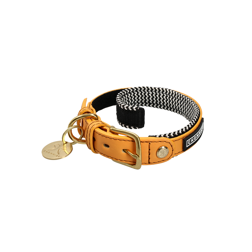 Adjustable Leather Dog Collar | Kumquat