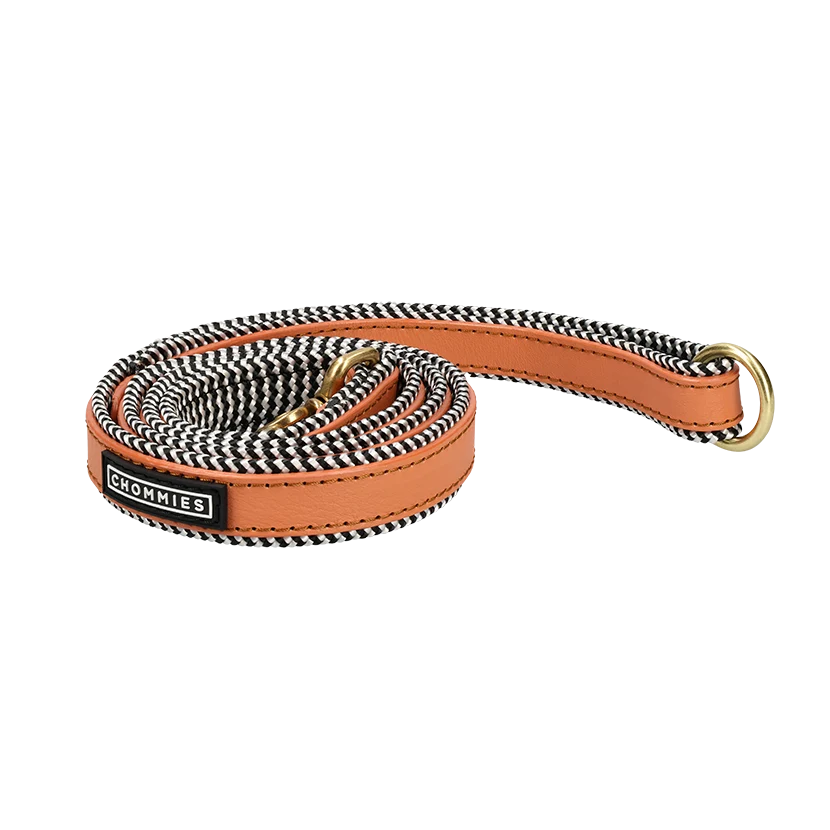 Dog Harness & Leash Bundle | Apricot