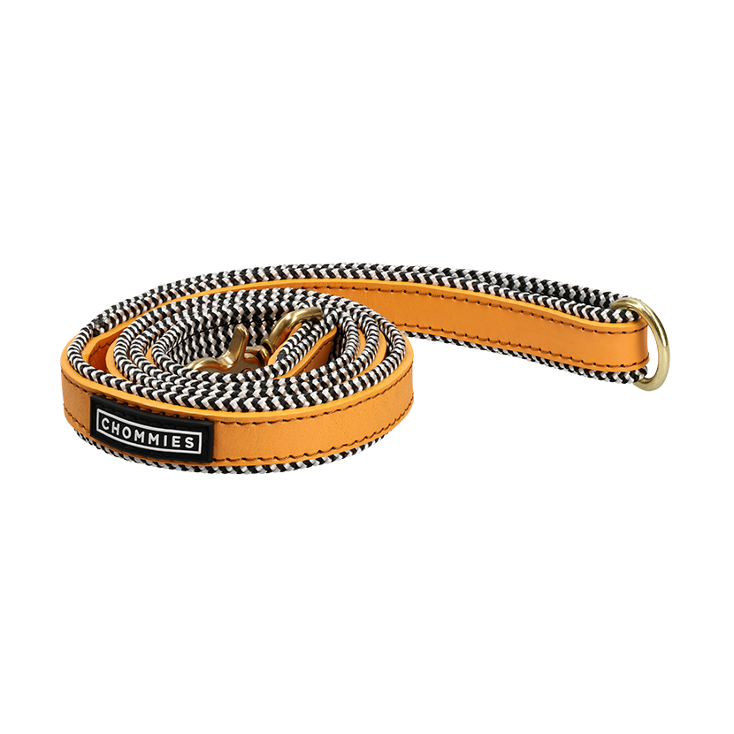 Everyday Leather Dog Leash | Kumquat