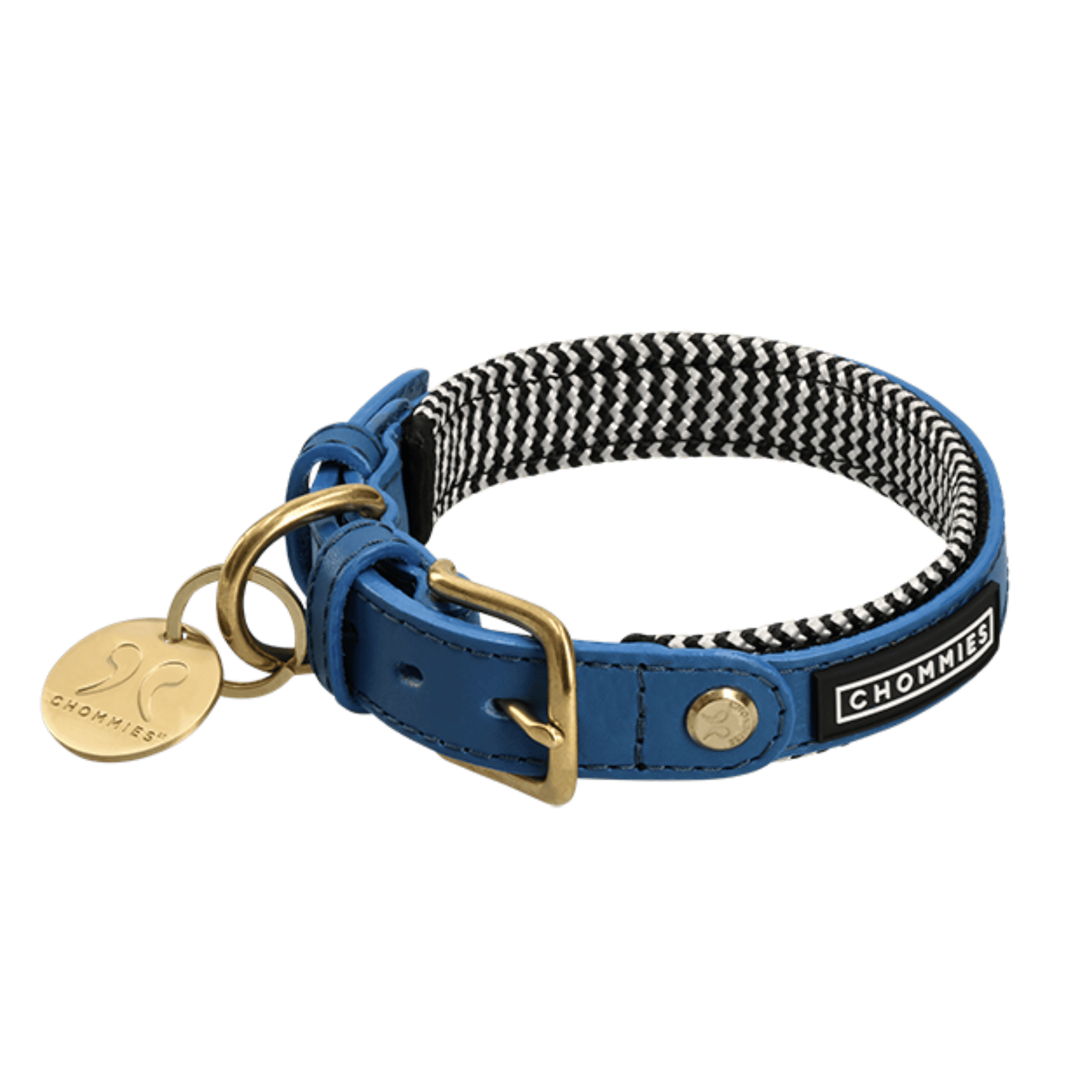 Blue dog collar with black and white patterned strap, gold tag, and 'Chomps' branding on a clear background.