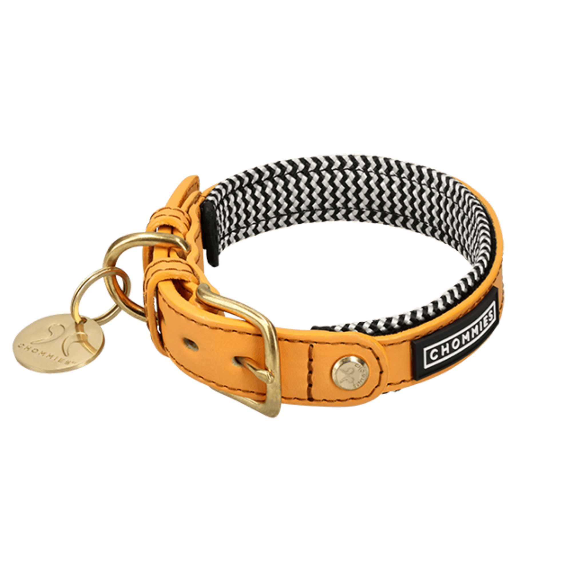Dog collar with black and white patterned strap and gold hardware on a green background