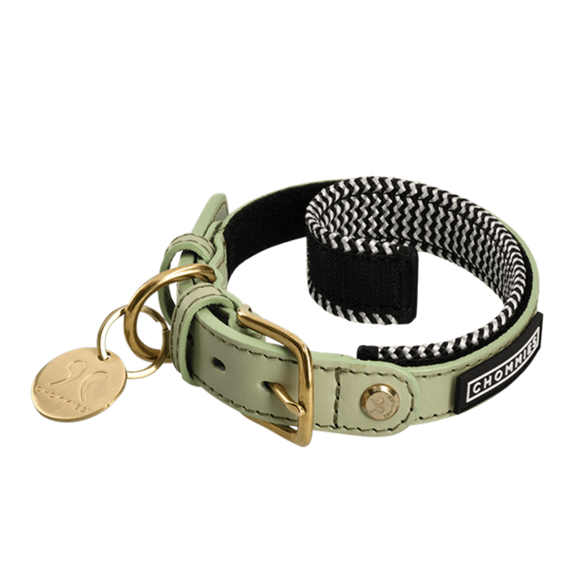 Dog collar with green leather and black and white braided design on a transparent background