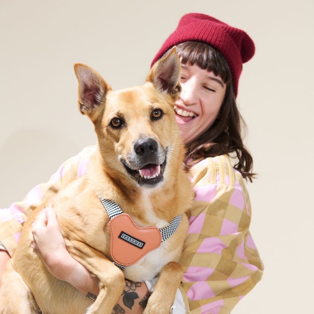 Leather Dog Harness | Apricot