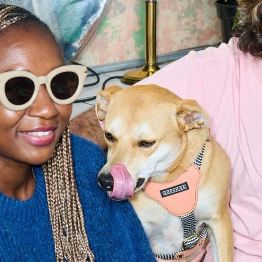 Leather Dog Harness | Apricot