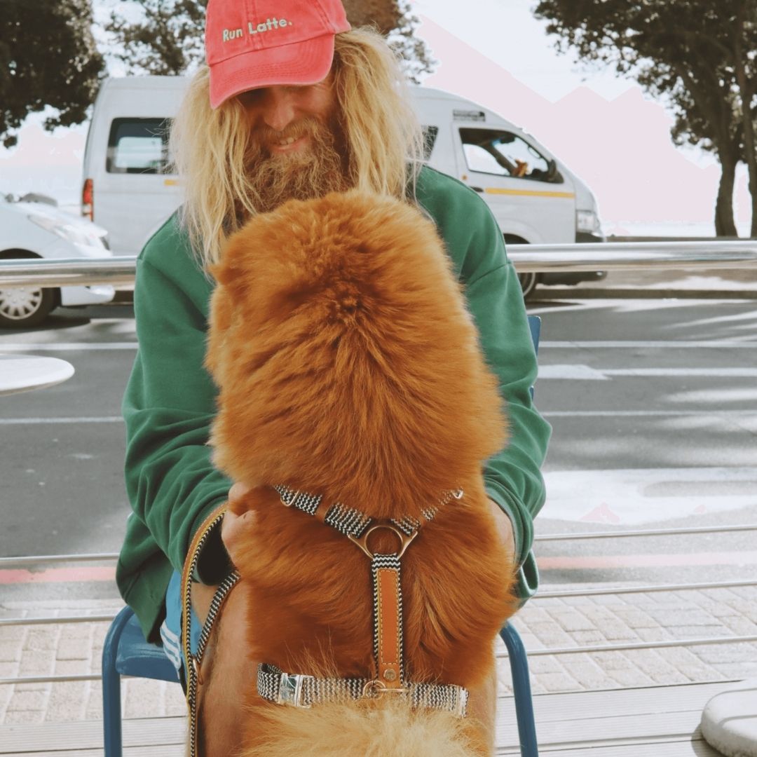 Leather Dog Harness | Cognac West