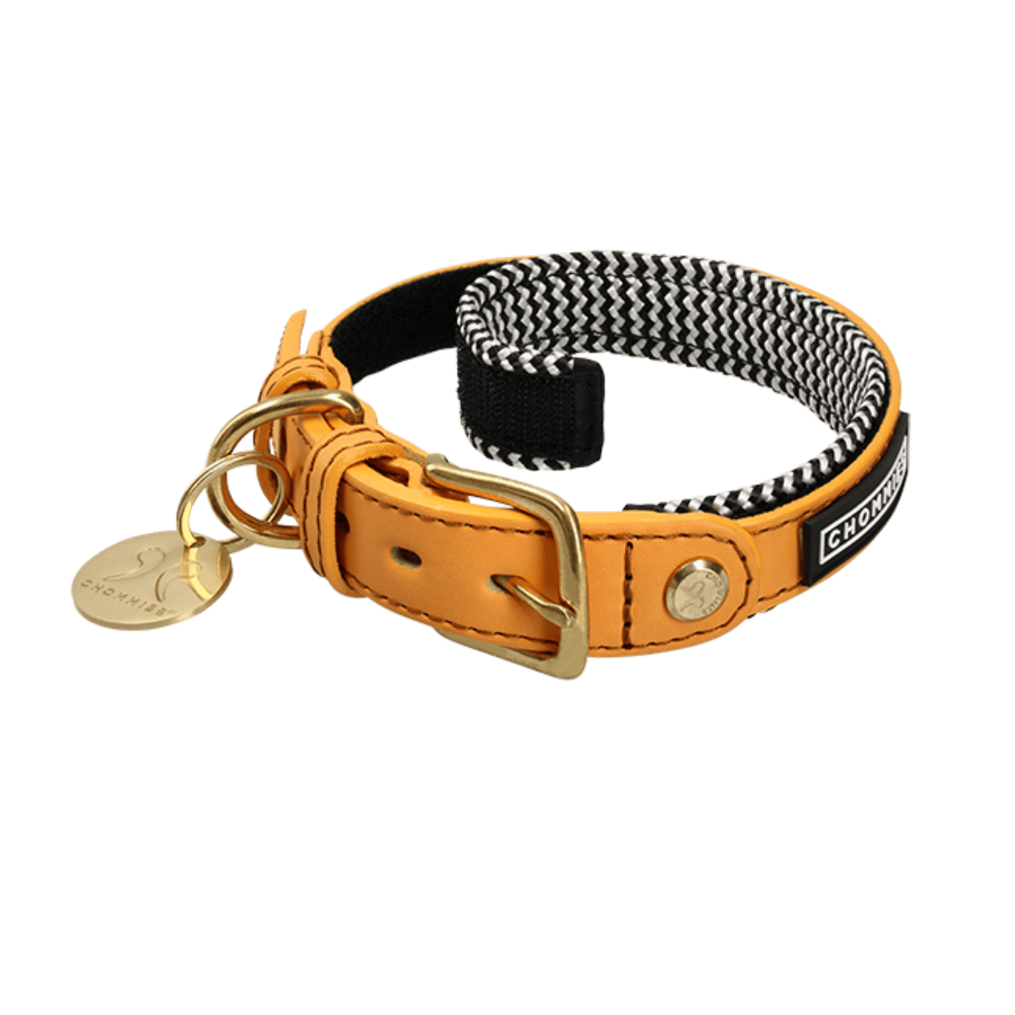 Dog collar with black and white patterned strap and gold hardware on a transparent background